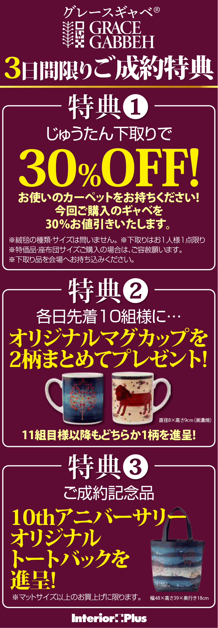 グレースギャベ®　3日間限りご成約特典