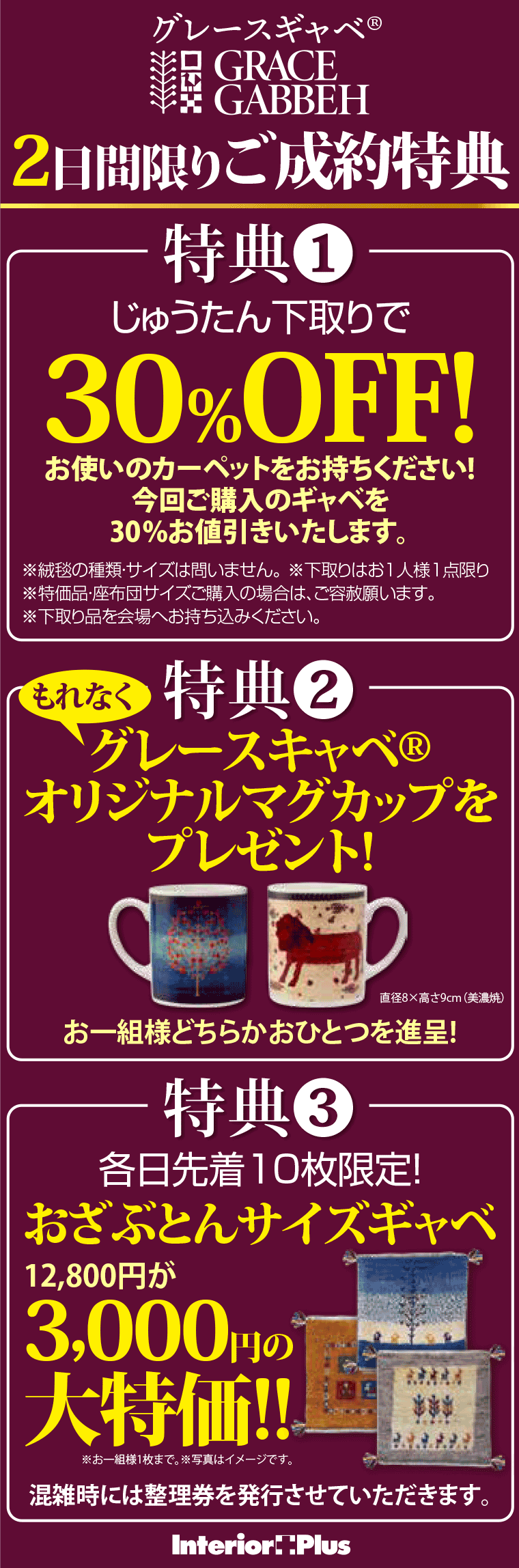 グレースギャベ®　2日間限りご成約特典